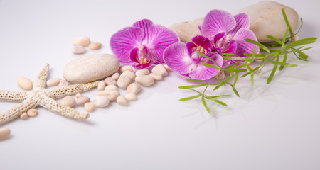 Fototapeta na wymiar Spa background with stones and purple orchid