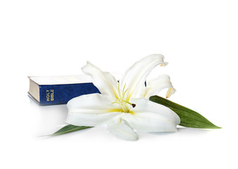 Holy Bible and Easter white lily on white background