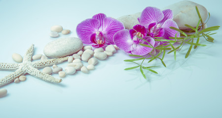 Spa background with stones and purple orchid