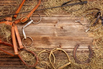 Photo sur Plexiglas Léquitation Set of horse equipment on wooden background