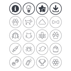 Pets and Insect icon. Dog, Cat paw with clutches.