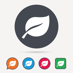Leaf icon. Fresh organic product symbol. Circle, speech bubble and star buttons. Flat web icons. Vector