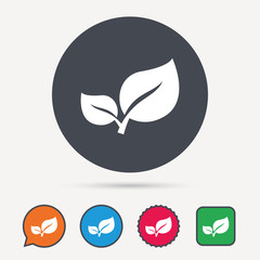Leaf icon. Fresh organic product symbol. Circle, speech bubble and star buttons. Flat web icons. Vector