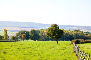 Fototapeta premium landscape