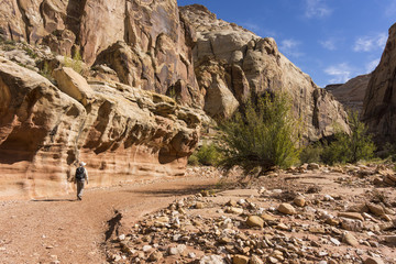 Capital Reef, Grand Wash hiker