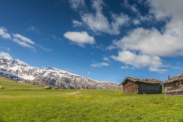 Almwiesen und Berghütten auf der Seiser Alm