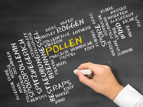 Pollen