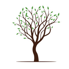 Obraz premium Spring Tree with Green Leafs. Vector Illustration.