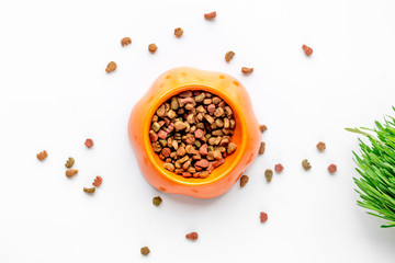 dry dog food in bowl on white background top view