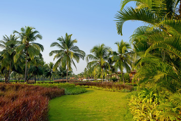 Fototapeta na wymiar Luxury tropical resort with palm trees and flowers. Goa, India
