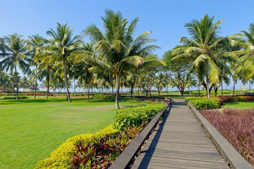 Fototapeta na wymiar Tropical garden with palm trees and flowers. Goa, India