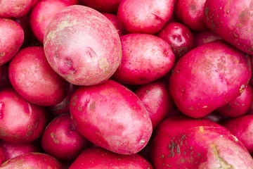 Vibrant fresh potatoes for sale at a farmer's market in Oregon