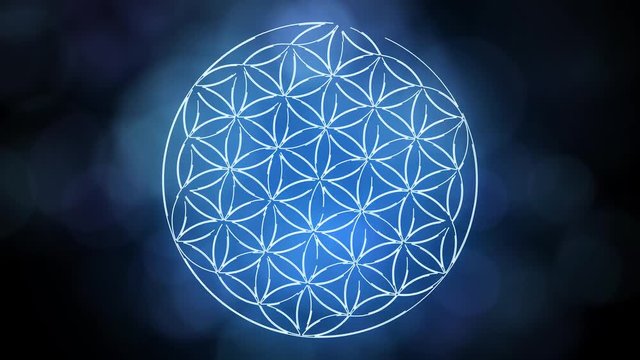 The Flower of Life Forming Sacred Geometry Symbol 