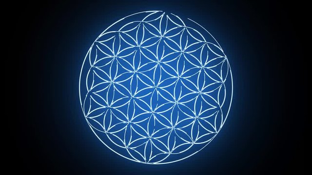 The Flower of Life Forming Sacred Geometry Symbol 