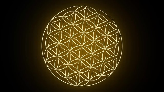 The Flower of Life Forming Sacred Geometry Symbol 