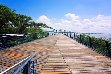 Boardwalk in Guayaquil