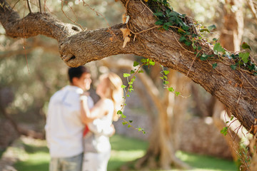 Couple kiss under tree in green park at sunset