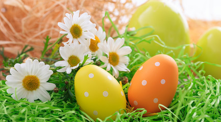 Easter eggs on grass