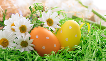 Fototapeta na wymiar Easter eggs on grass
