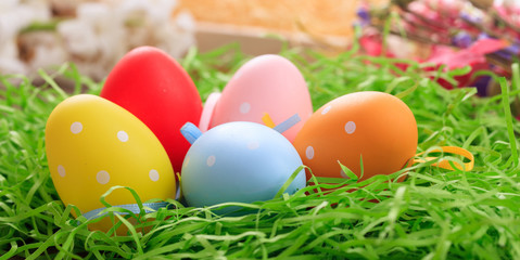Easter eggs on grass