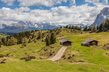 Almwiesen und Almhütten auf der Seiser Alm