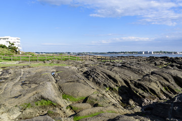 天神島　佐島　公園　海岸　遊歩道
