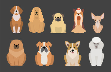 Funny cartoon dog character bread illustration in cartoon style happy puppy and isolated friendly mammal adorable mascot canine vector illustration.