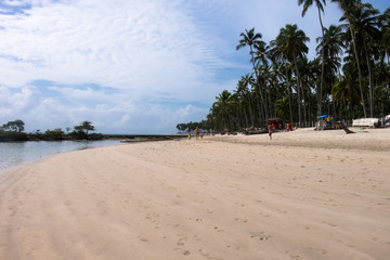 Praia dos Carneiros - Pernambuco, Brazil