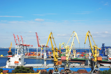 Fototapeta premium Bulk cargo ship under port crane