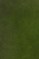 Green color leather texture