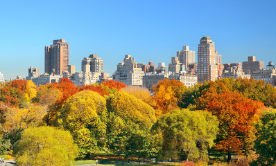 Obraz premium Central Park Jesień