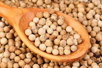 close up white pepper and wooden spoon as background
