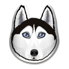 The dog of breed Husky. Portrait of Husky on the label. Logo, emblem, mascot. Vector illustration.