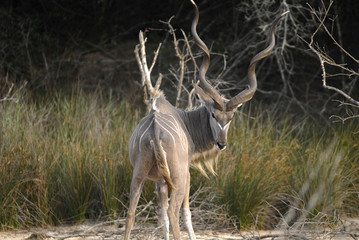 St Lucia Hluhluwe Mfololzi South Africa