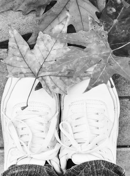 Legs in sneakers against the background of autumn