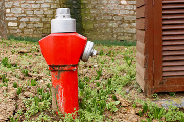 Red fire hydrant on green grass