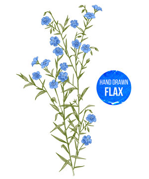 Hand drawn colorful flax flowers