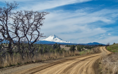 The View from Pleasant Ridge Road 