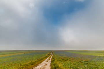 Fototapeta premium A very long country road, apparently ending on a wall of clouds, in the midst of big fields with grass and flowers