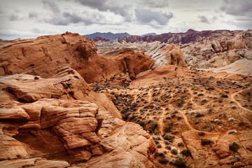 Scenic landscape of desert in southern Nevada at Valley of Fire, USA