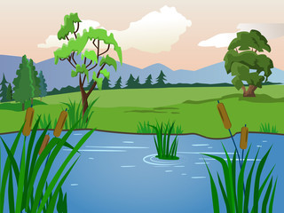 Fototapeta premium summer landscape. Lake with reeds. Clear weather.
