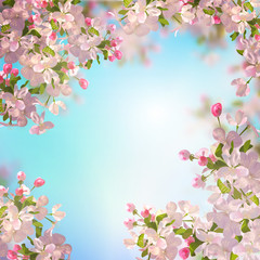 Fototapety  Wiosenny kwiat jabłoni