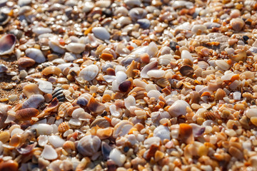 Fototapeta na wymiar Sea pebbles closeup