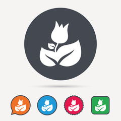 Rose flower icon. Florist plant with leaf symbol. Circle, speech bubble and star buttons. Flat web icons. Vector