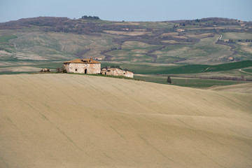 Obraz premium Rural landscape in Tuscany