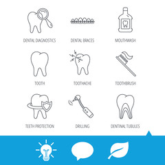 Tooth, dental braces and mouthwash icons. Diagnostics, toothbrush and toothache linear signs. Dentinal tubules, protection flat line icons. Light bulb, speech bubble and leaf web icons. Vector