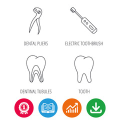 Tooth, electric toothbrush and pliers icons. Dentinal tubules linear sign. Award medal, growth chart and opened book web icons. Download arrow. Vector
