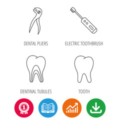 Tooth, electric toothbrush and pliers icons. Dentinal tubules linear sign. Award medal, growth chart and opened book web icons. Download arrow. Vector