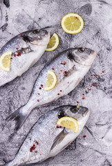 Dorada fish