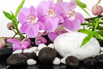 Obraz na płótnie Canvas Wellness: Orchids, stones and bamboo :)